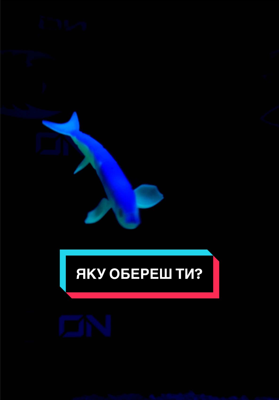 @BITE ON