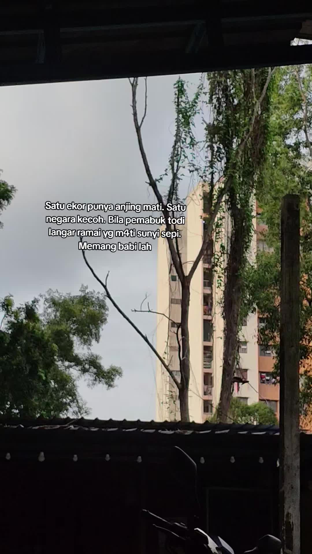 @𝘿𝙞𝙧𝙚𝙘𝙩𝙤𝙧𝙊𝙛𝙋𝙖𝙡𝙖𝙩𝙖𝙤..