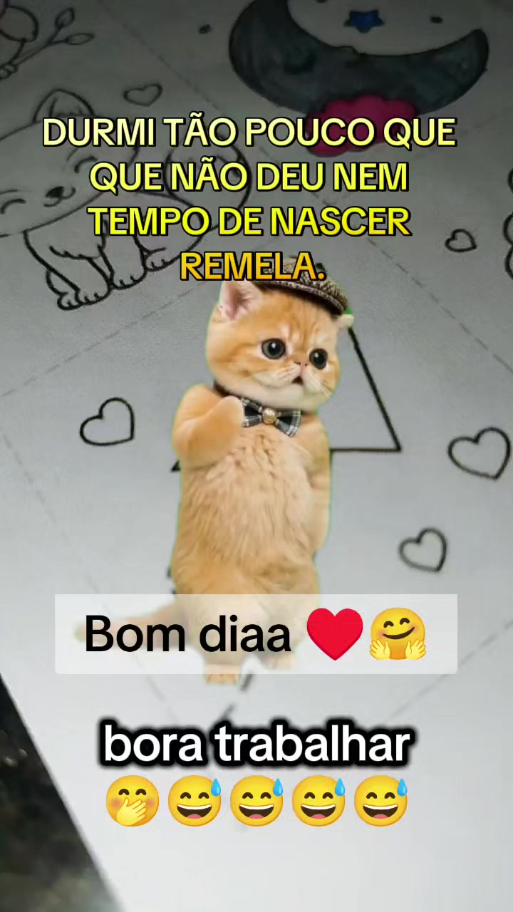 @girassol🌻