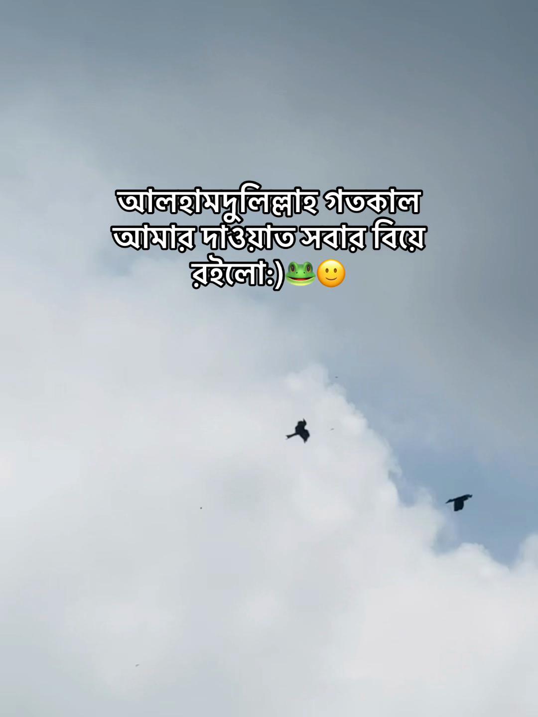 @টিক -টিকি
