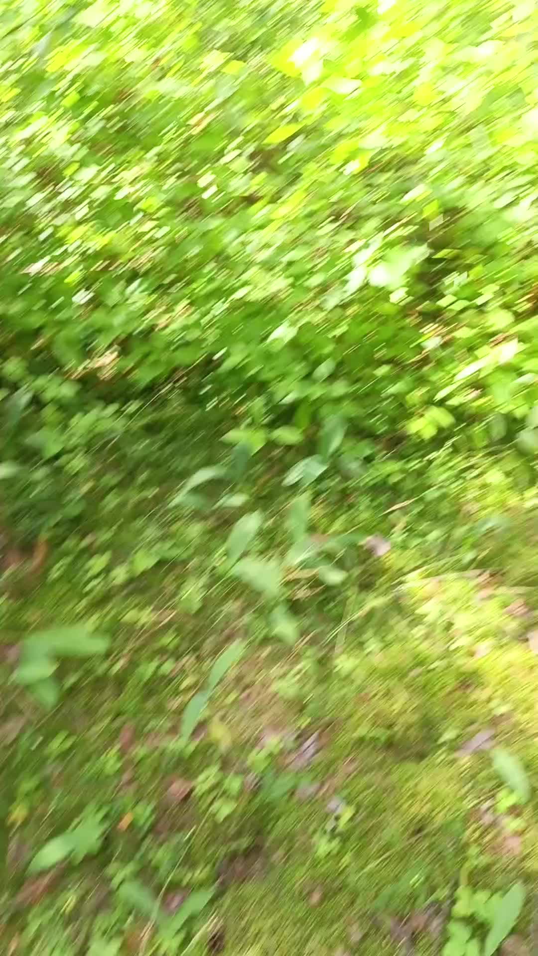 @мучачо
