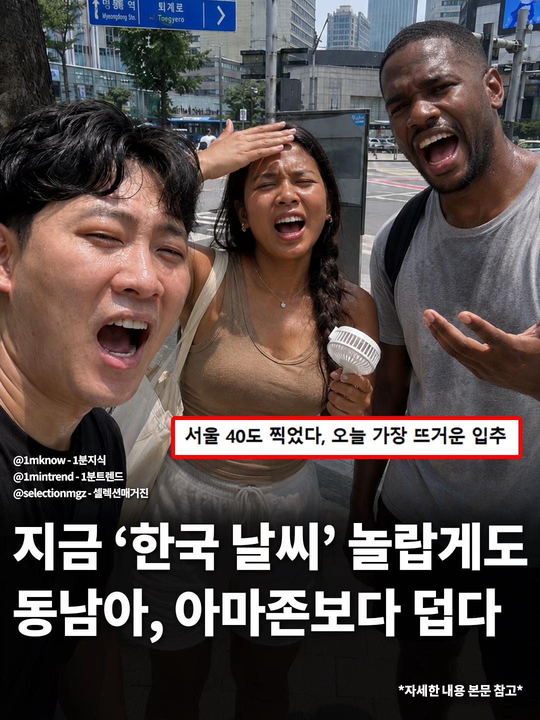 @[1분지식 - 일지] 매거진