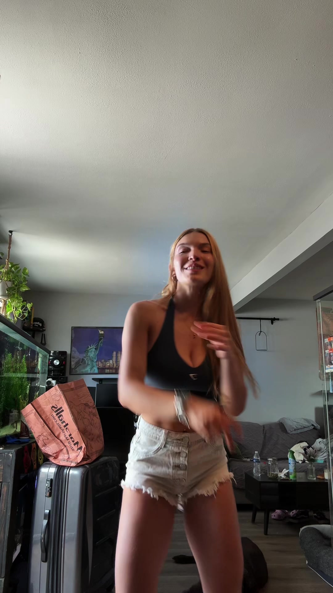@luafacci