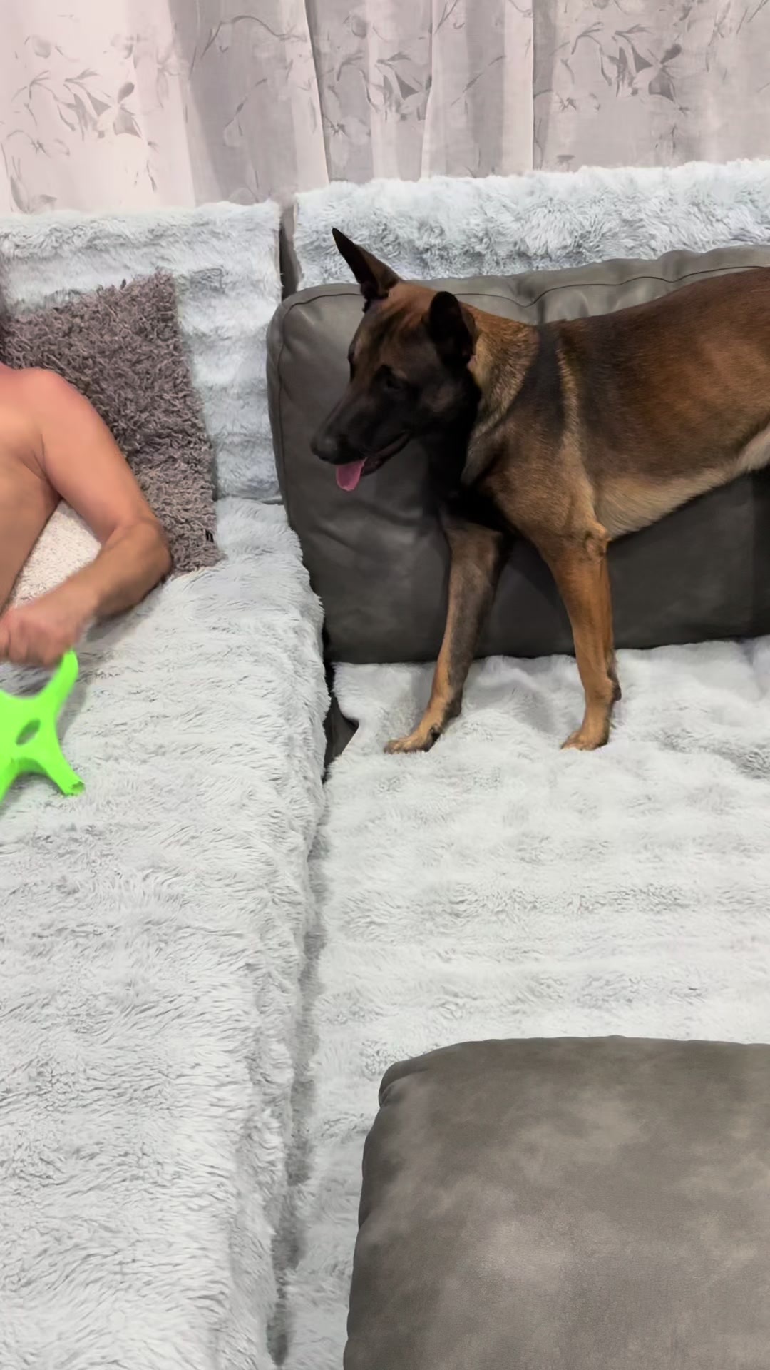 @doglifethailand