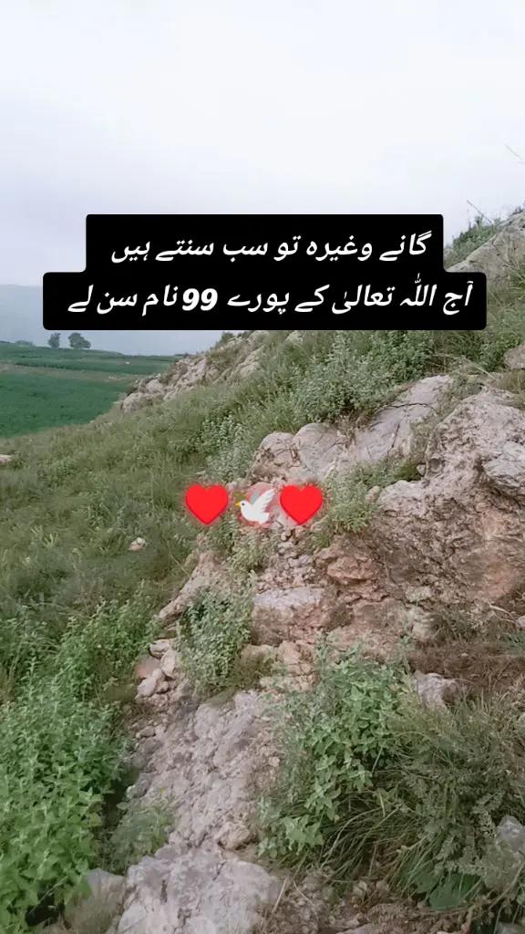 @✨Zahir_khan✨