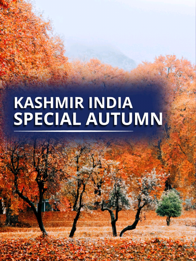 @Liburan Kashmir India