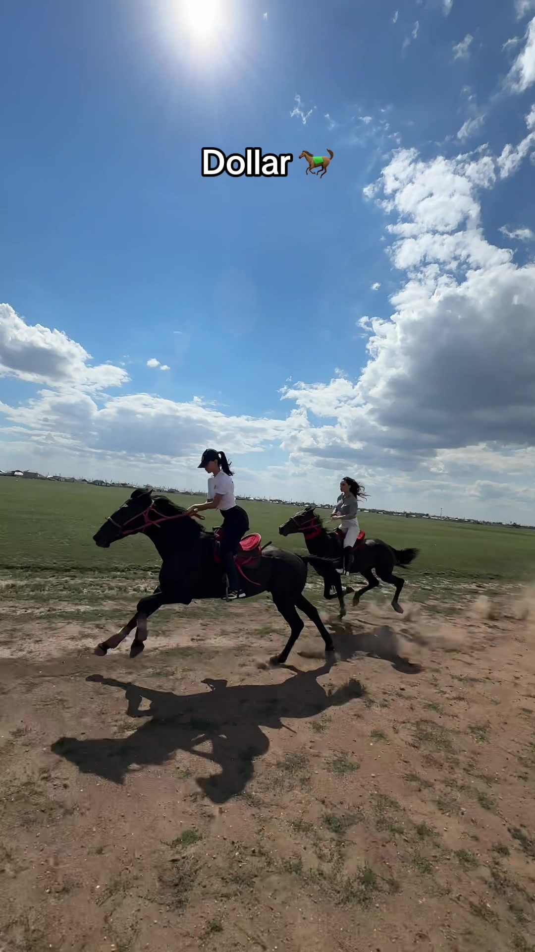 @NAZEKA🐎