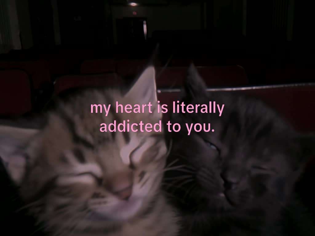 @mond