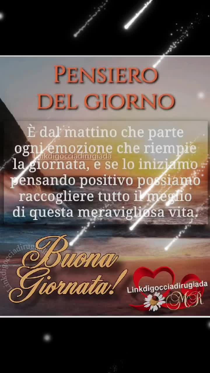 @dino606389