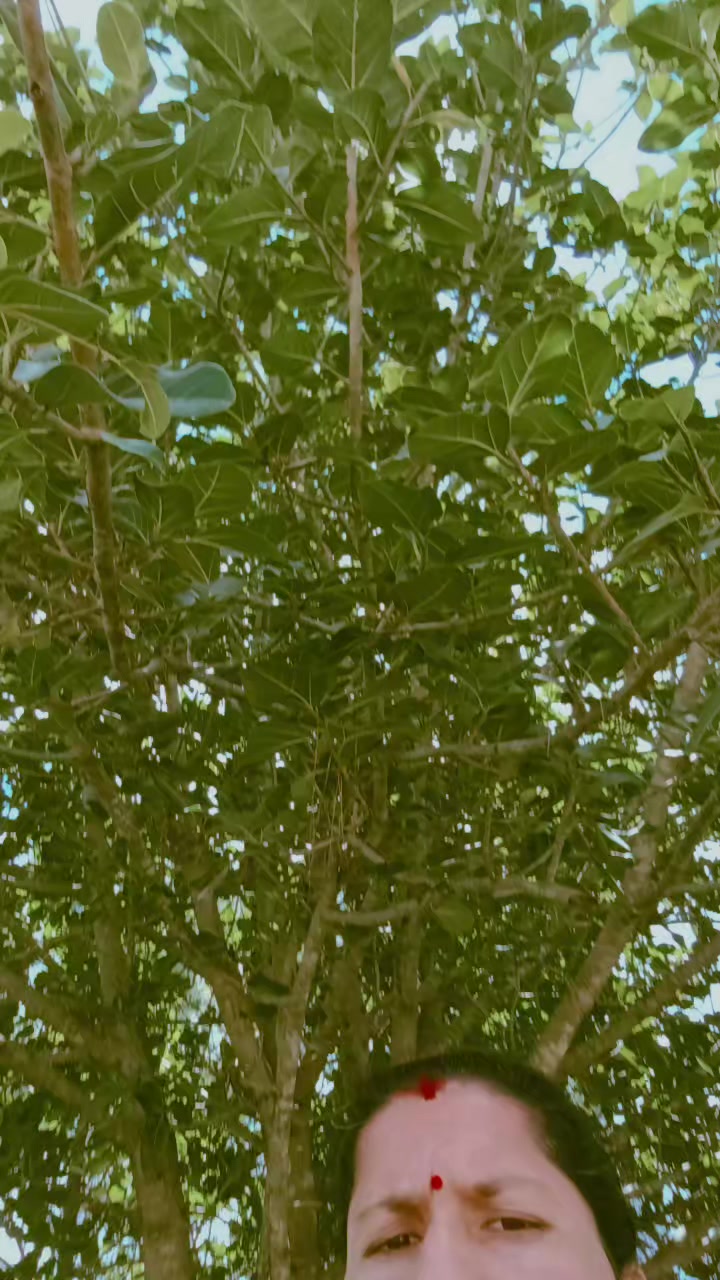@ReshmiDhungana