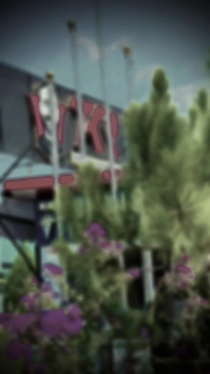 @๐๐โKASHOO๐ค