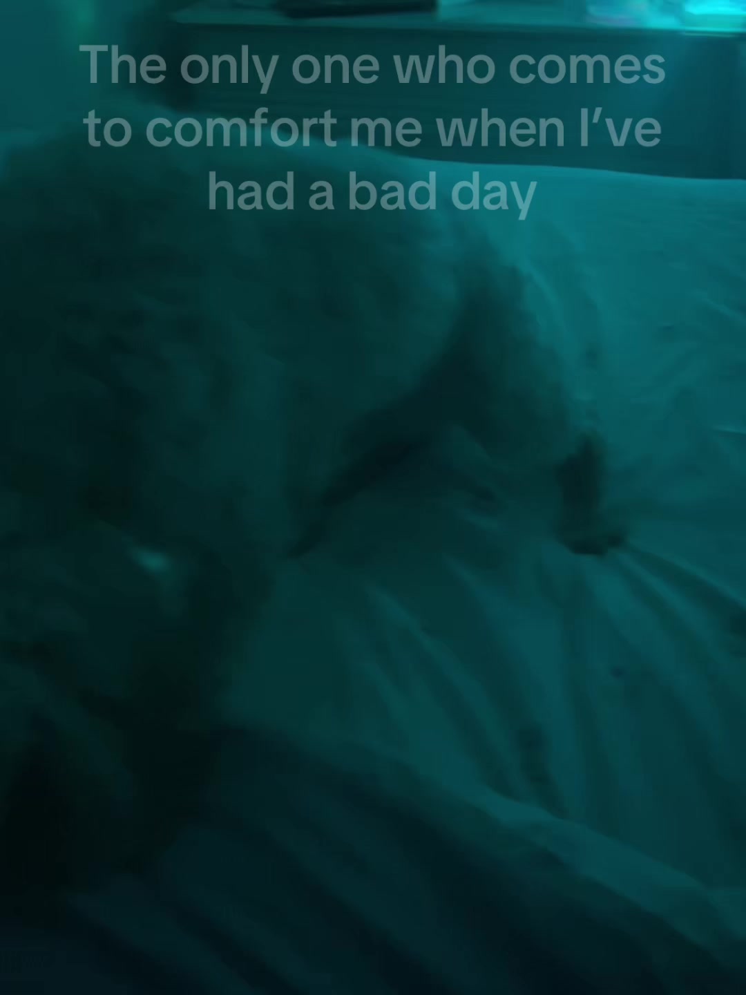 @ℒ𝒾𝓁𝓎𓆉