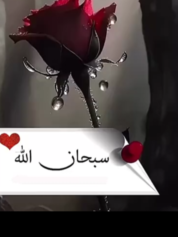 @𝘪𝘁's͡ ʍҽ `