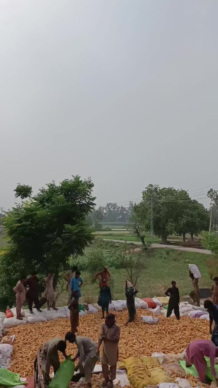 @Pakistan Kisan T.V