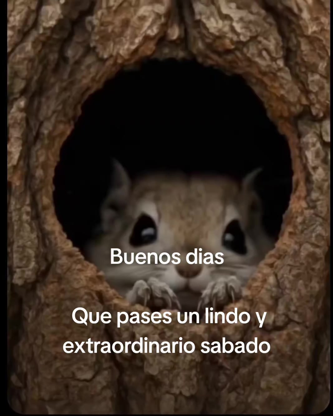 @Jhon Reye