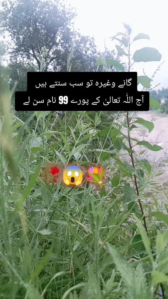 @✨Zahir_khan✨