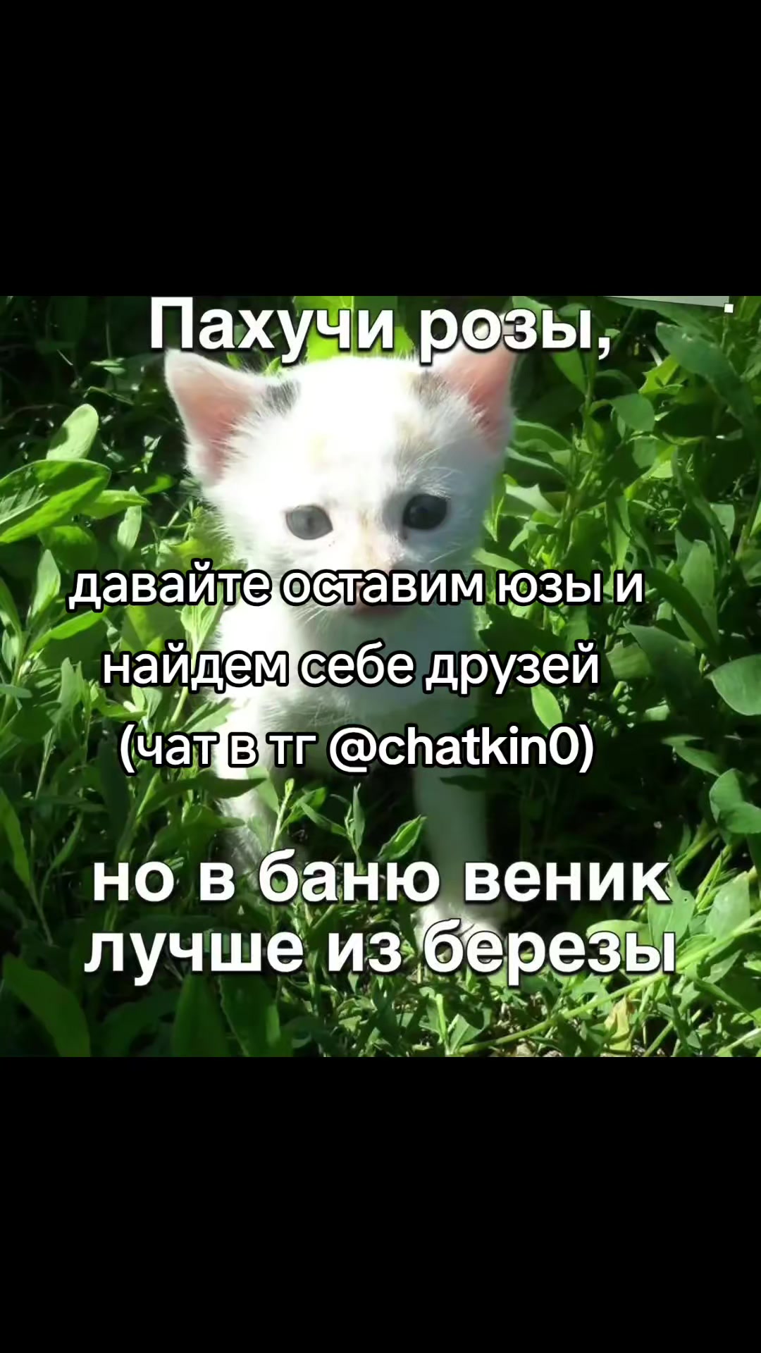 @cqtagger