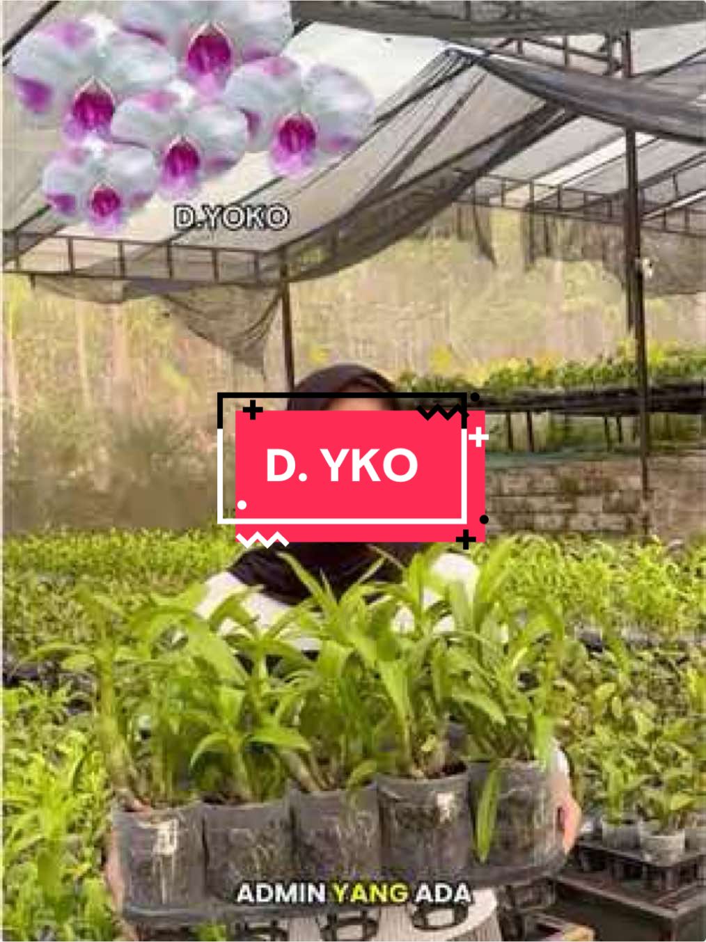 @Griya sekarindo utama
