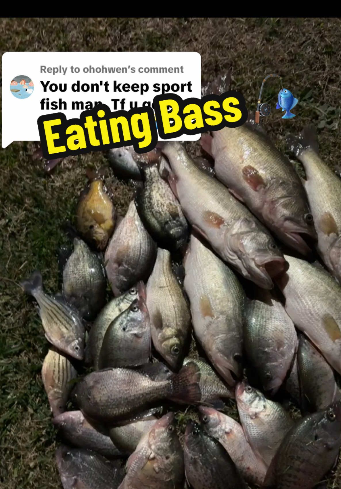 @bayouboy.985