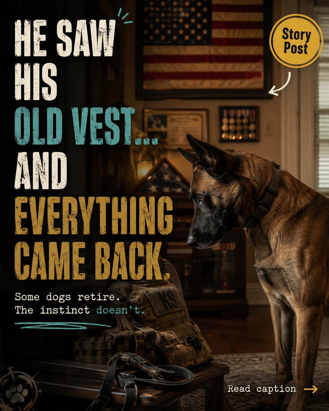 @K9 Warrior