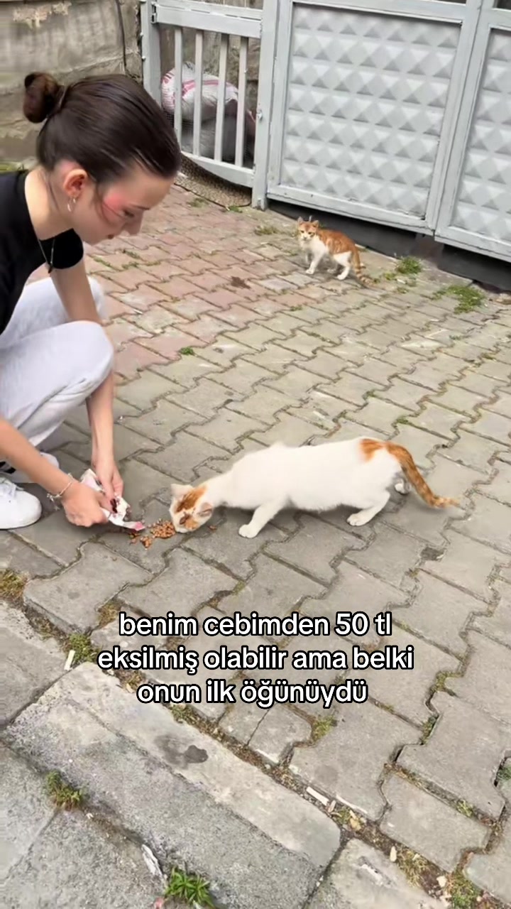 @Nisa🇹🇷