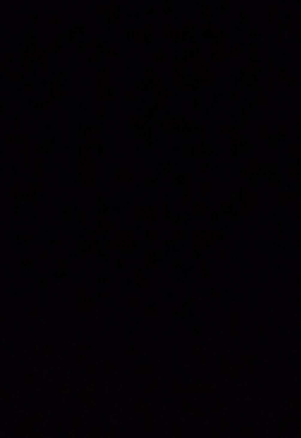 @dihdihdaboss