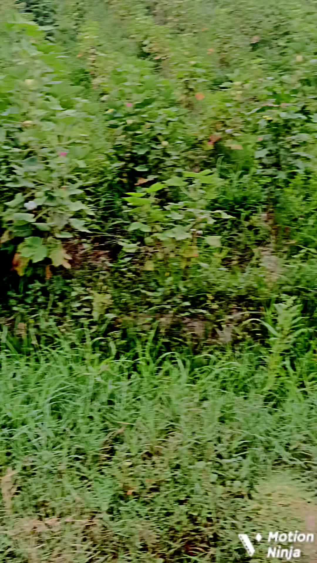 @𝗩 𝗶 𝘃 𝗲𝗼𝗻 🐍