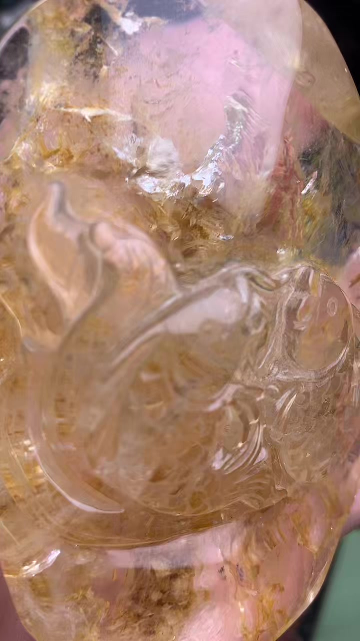 @cocolive8