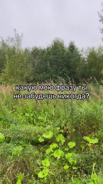@Данил