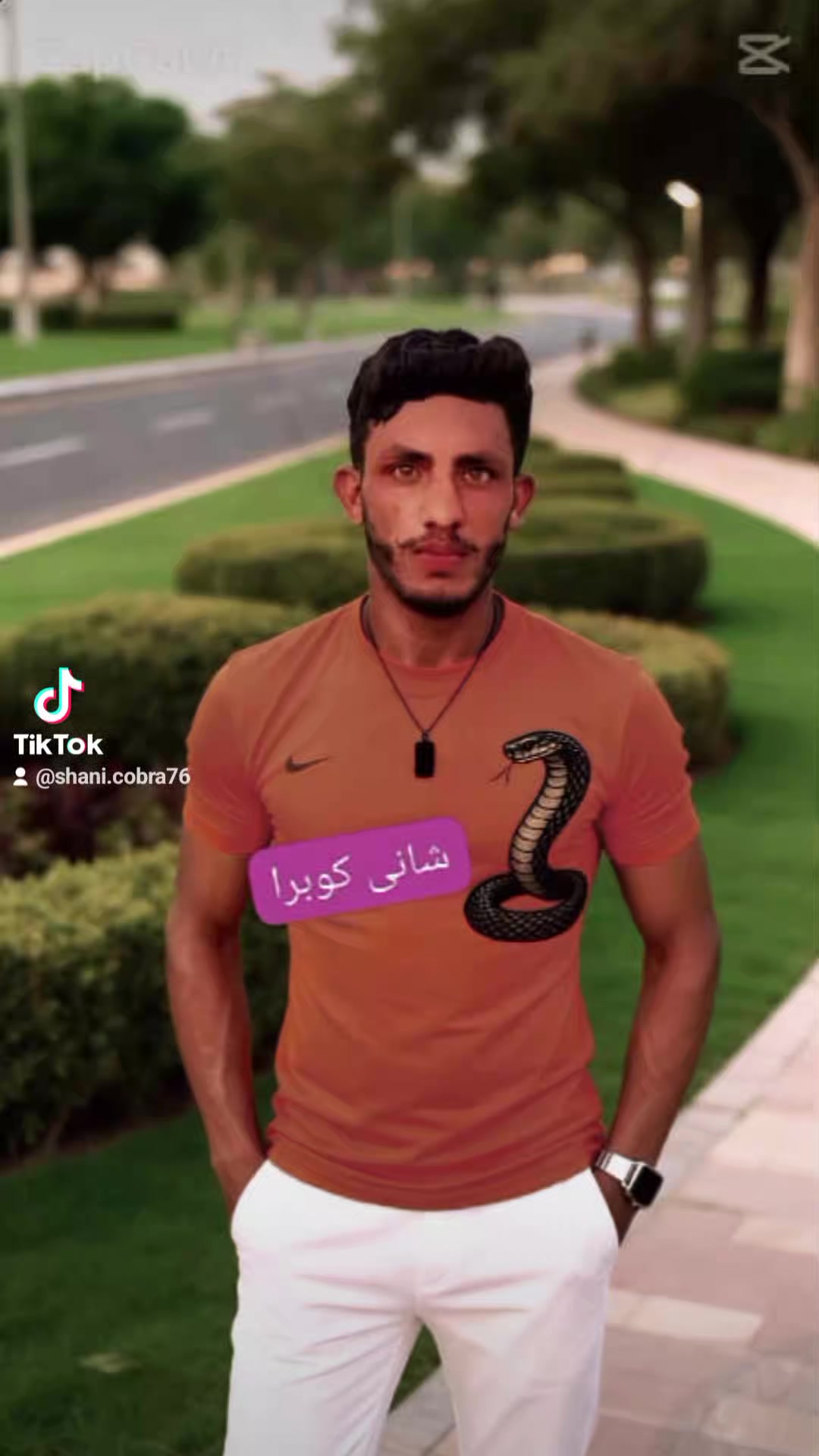 @Shani cobra