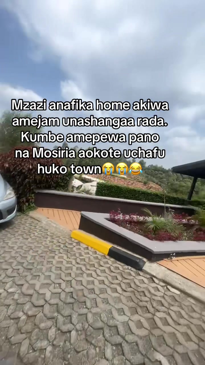 @vibez.35