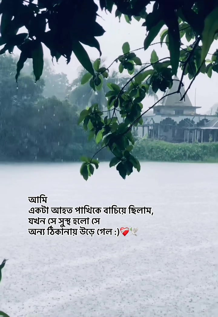 @_নিখোঁজ_