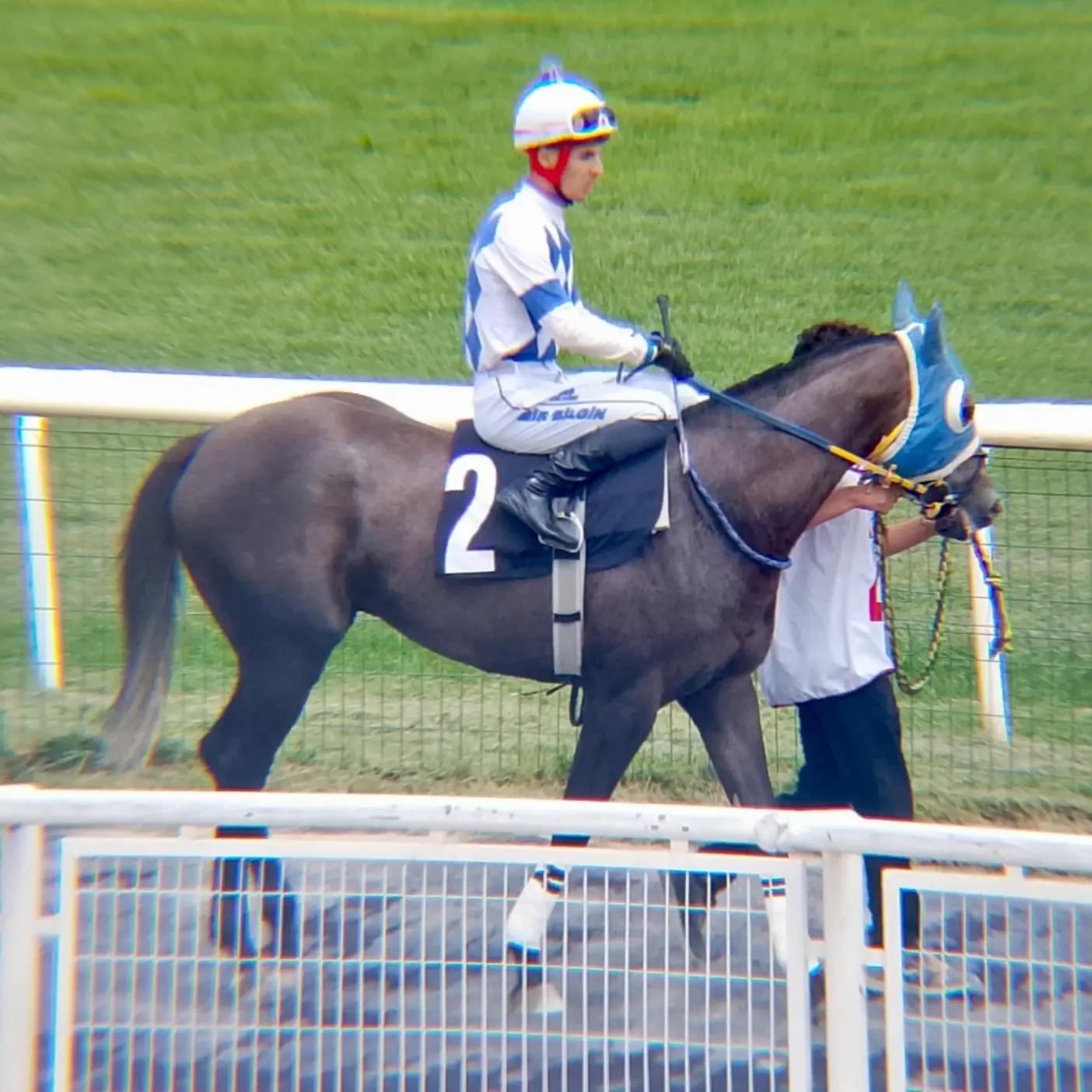 @brs horse racing