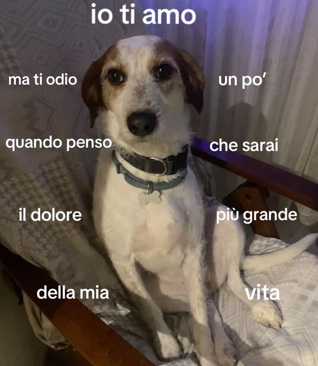 @marghe