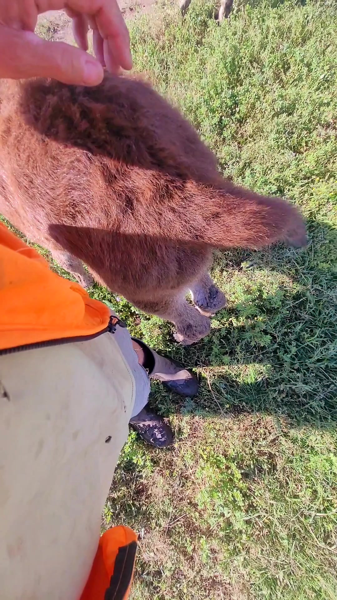 @🇨🇦Mule Momma 🇨🇦🇨🇦