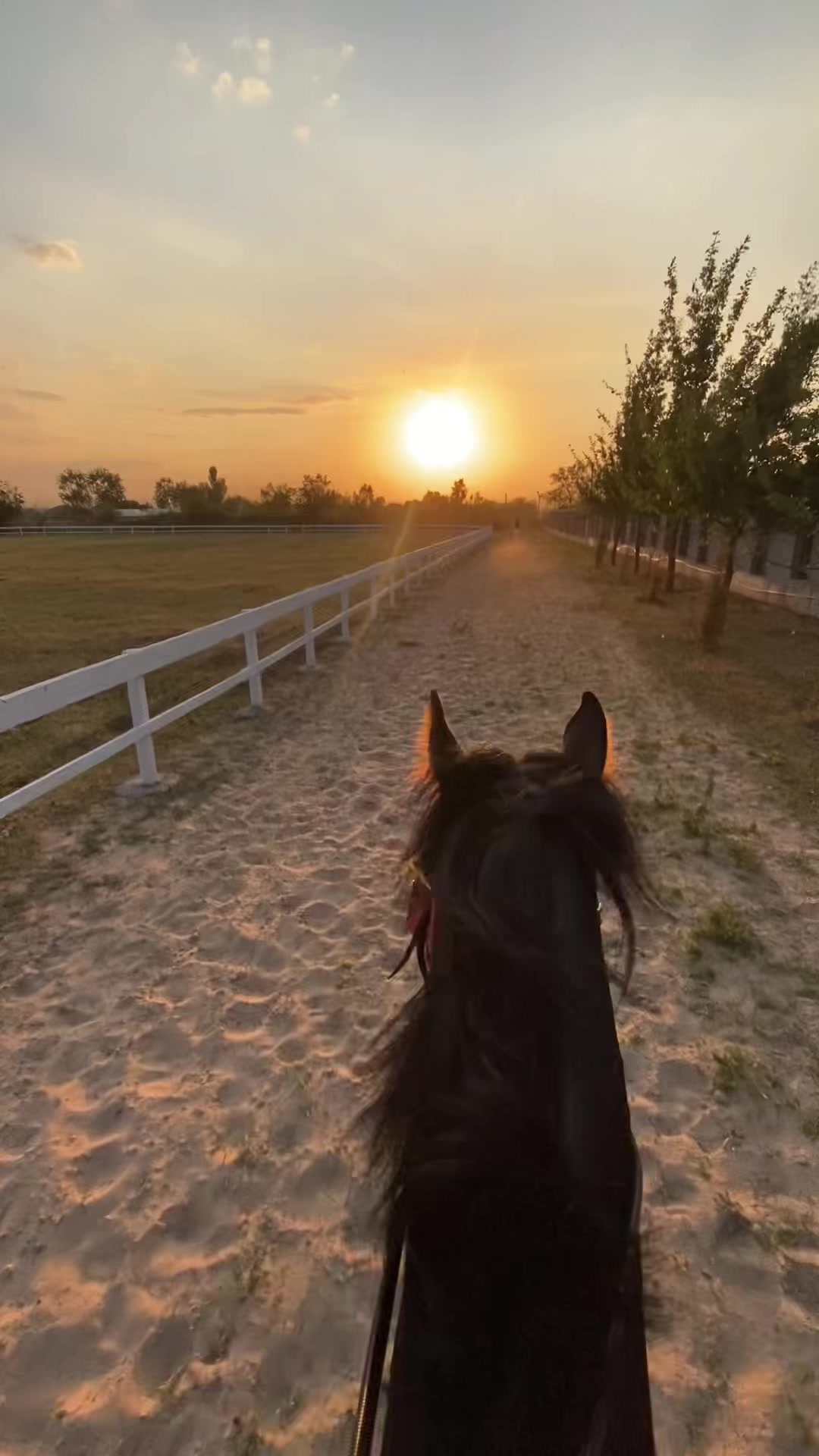 @jockey.hors