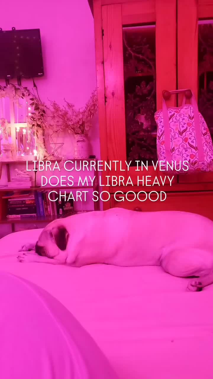 @Melissa 🐈&zwj;⬛