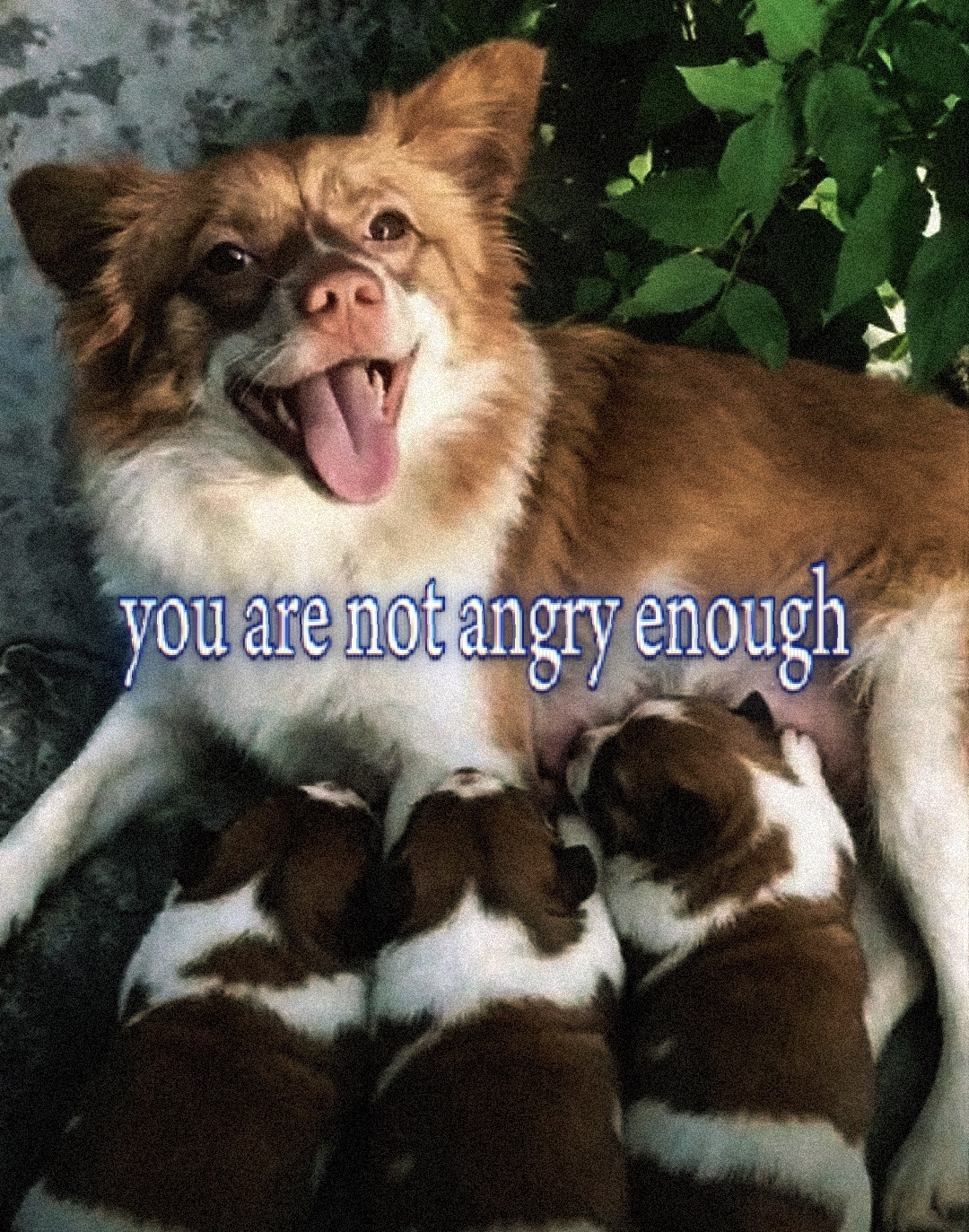 @ᛉ