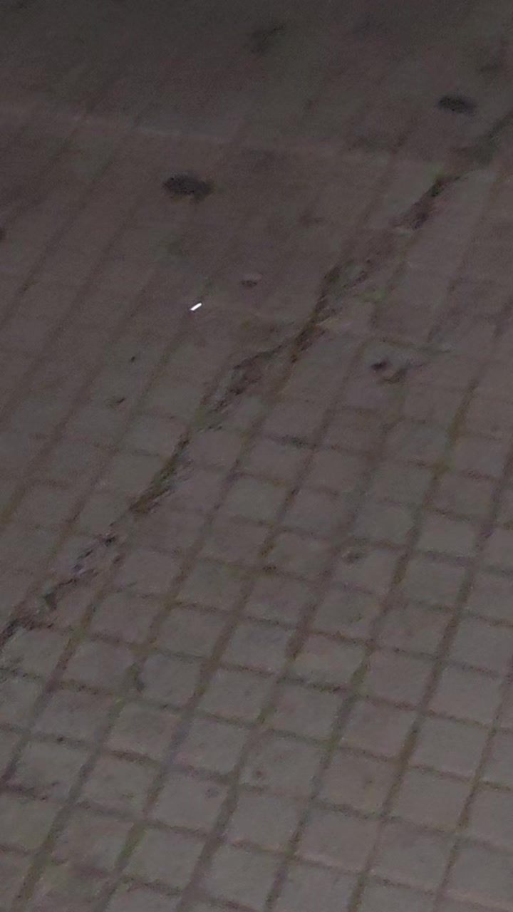 @Lucia Musmeci