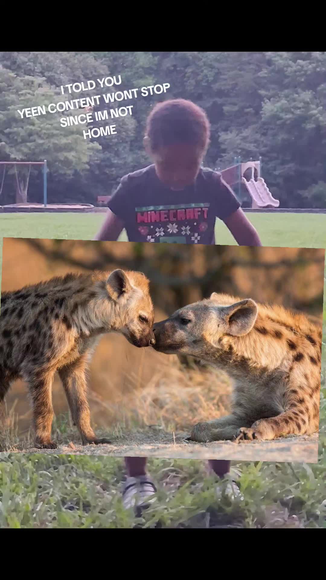 @AbrahamTheHyena✝️