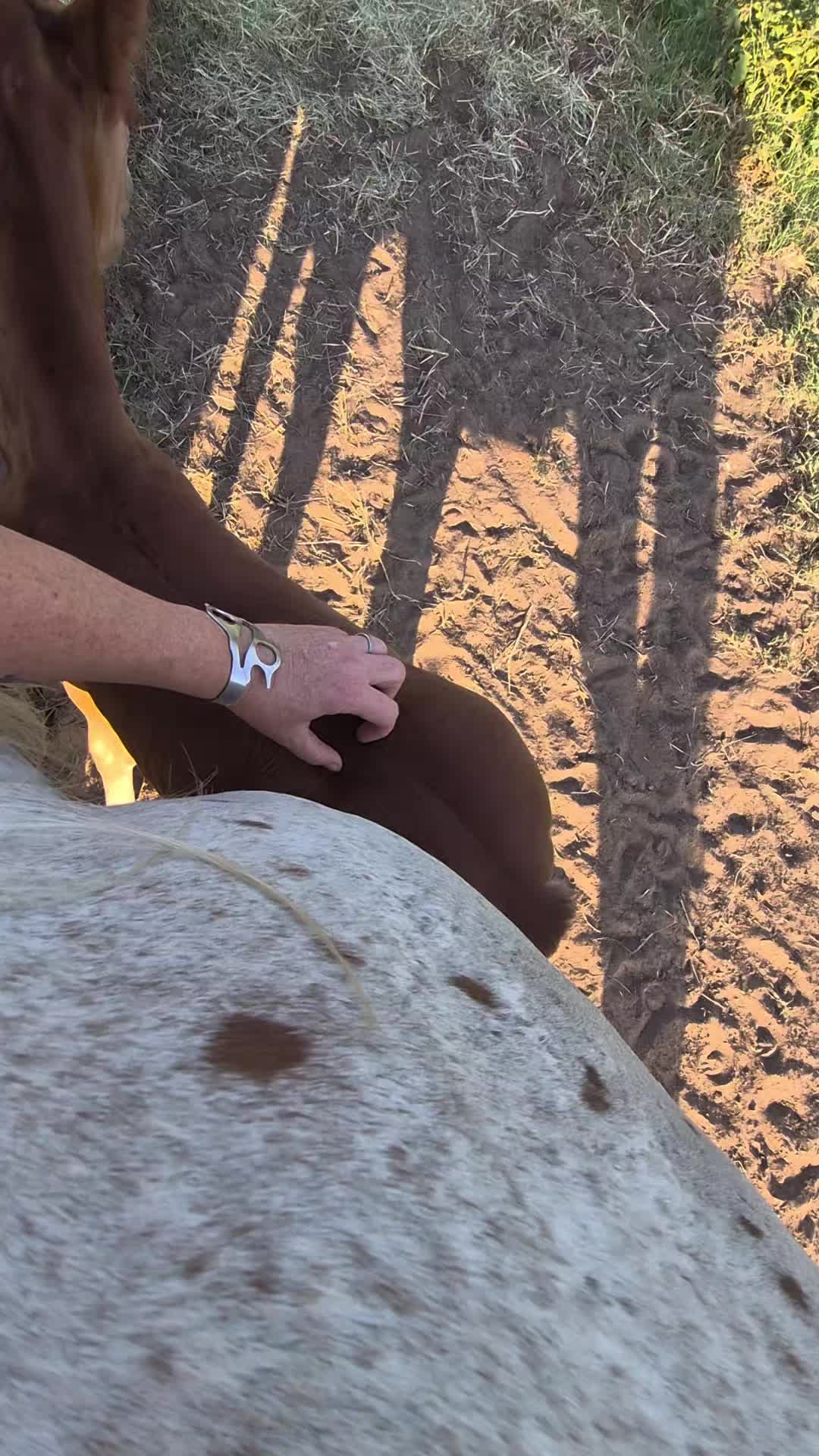 @pussnboots4555
