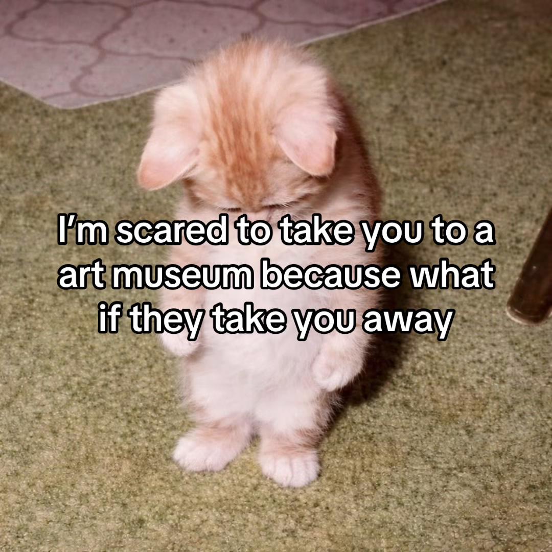 @LavanderCat