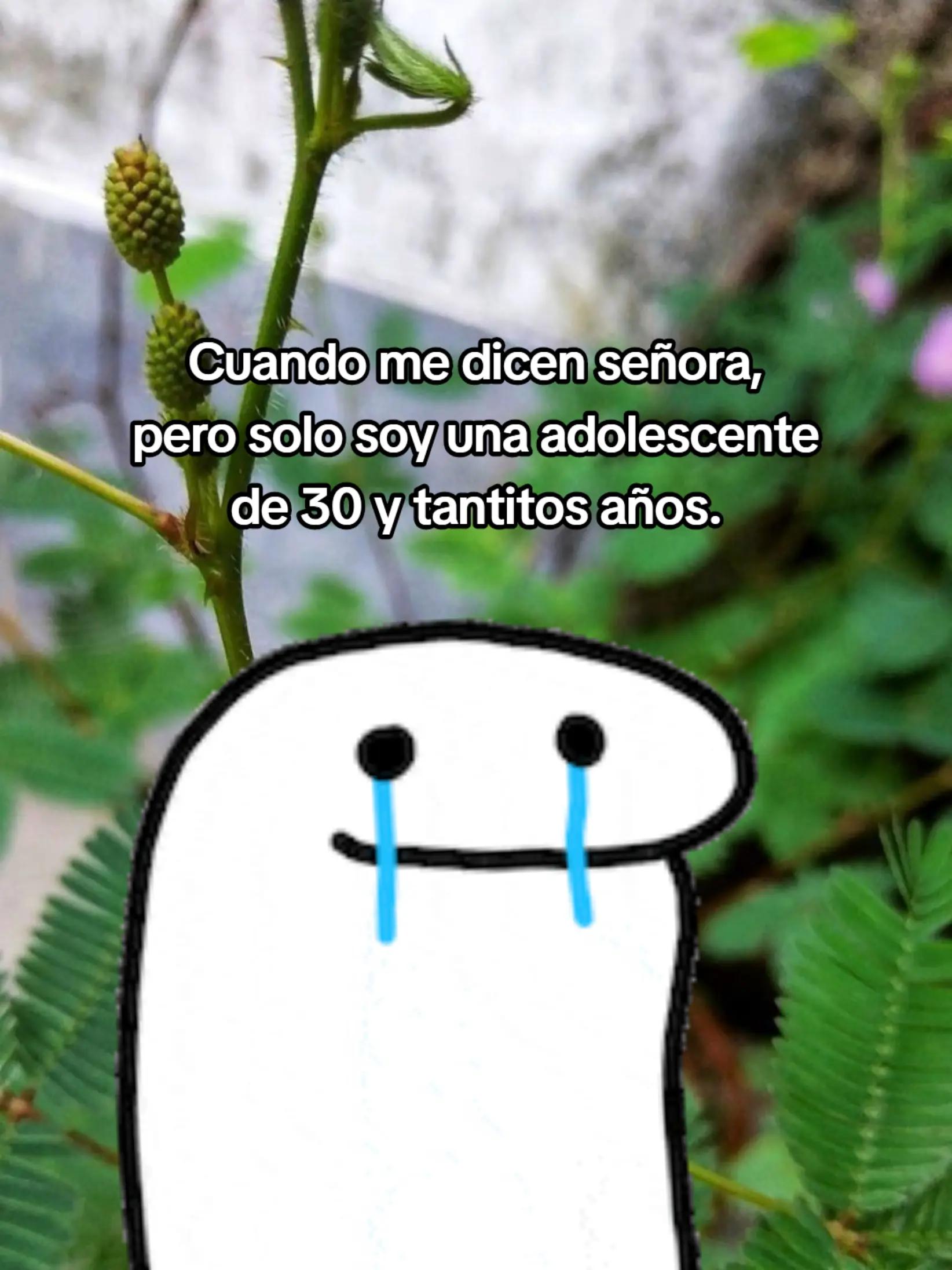 @🦋ᨶꫀꪶỉꪖ🦋