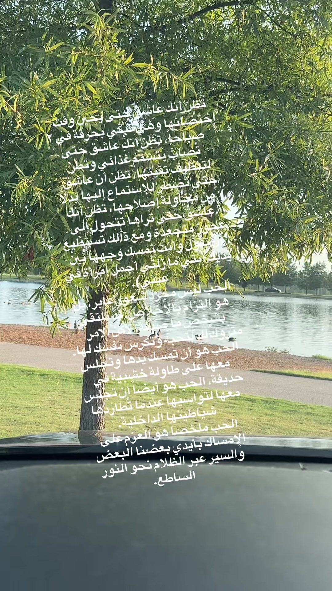 @Rosa Nabali