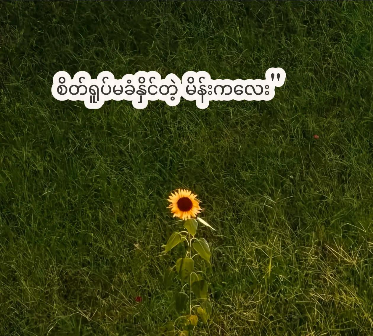 @🇸🇬𝕊𝕦𝕟🌻 𝕗𝕝𝕠𝕨𝕖𝕣𝕤💗