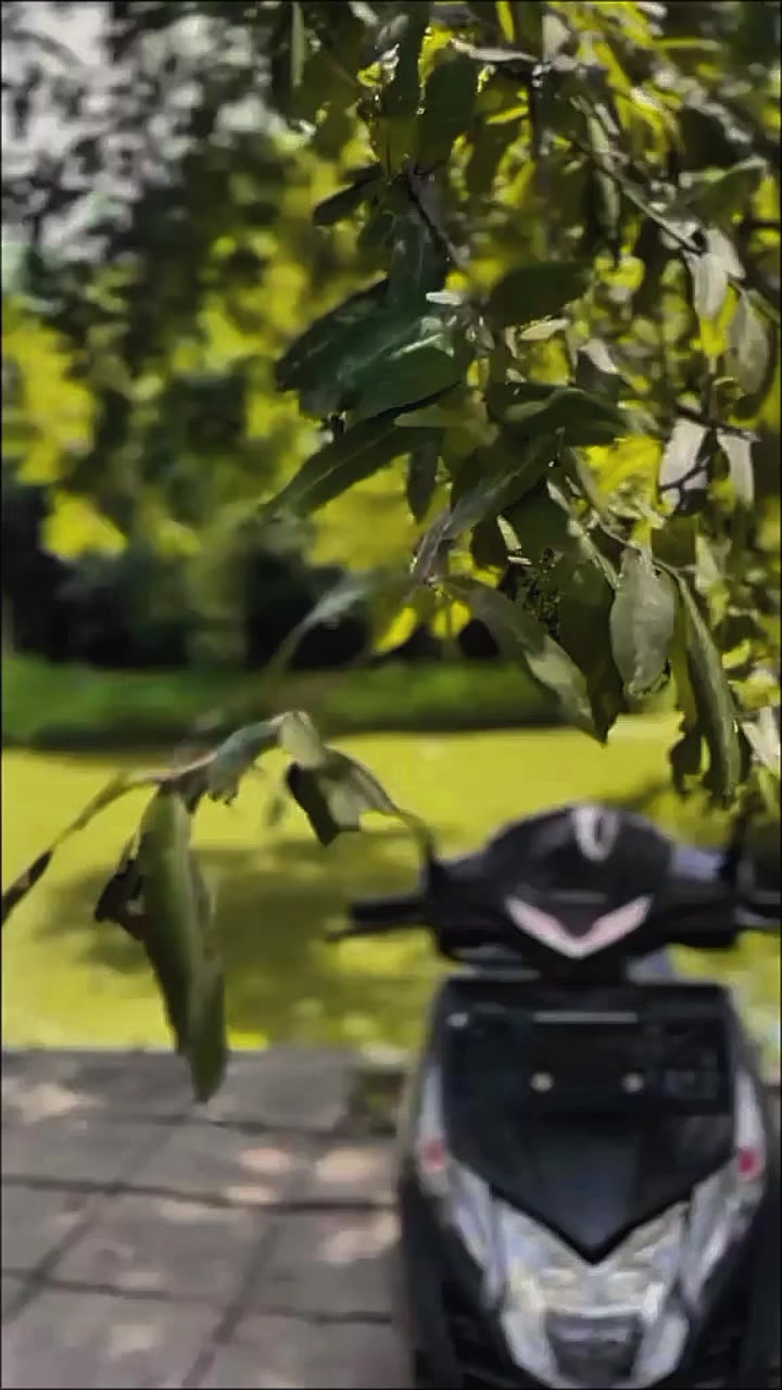 @𝙎𝗮𝗰𝗵𝗶 ┃ සචි 〲☸️🇯🇵