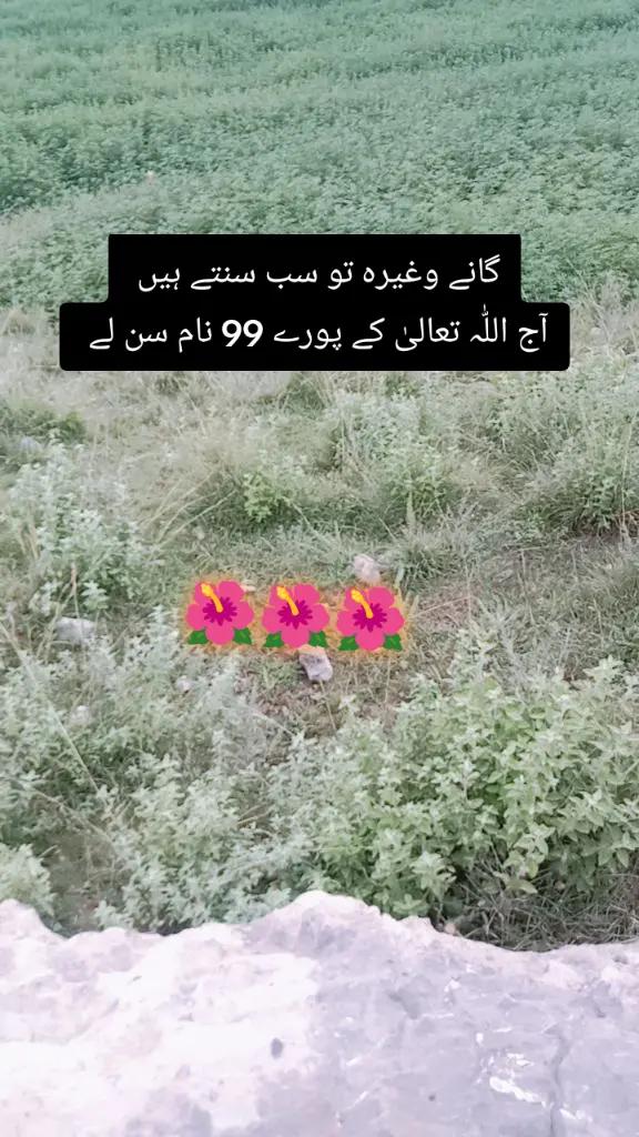 @✨Zahir_khan✨