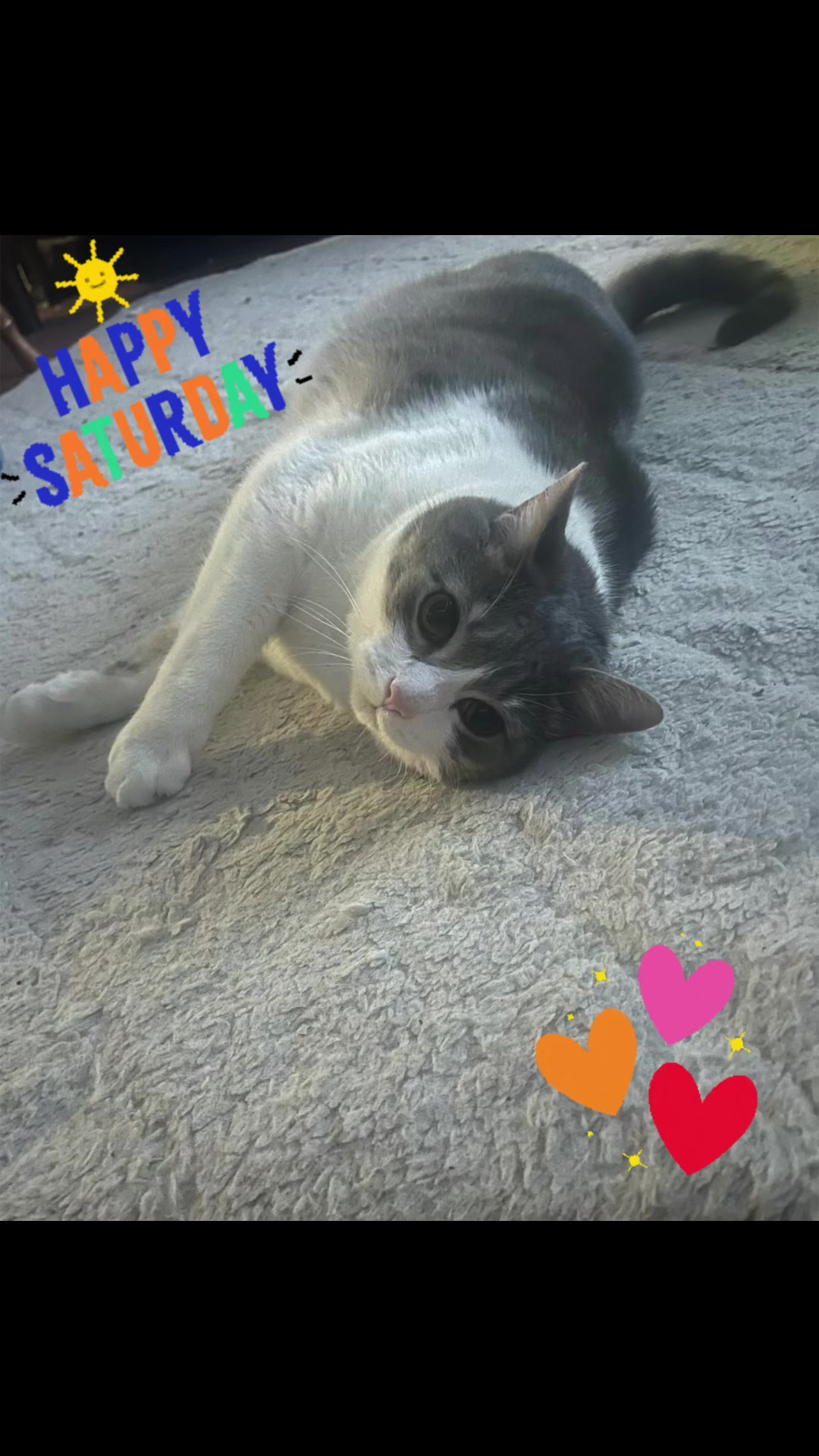 @CoolKittyGirl76