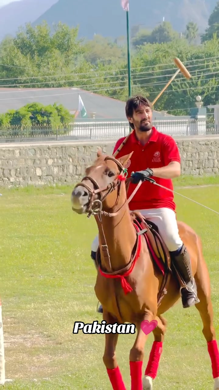 @️POLO ARCHIVE 👀🐴