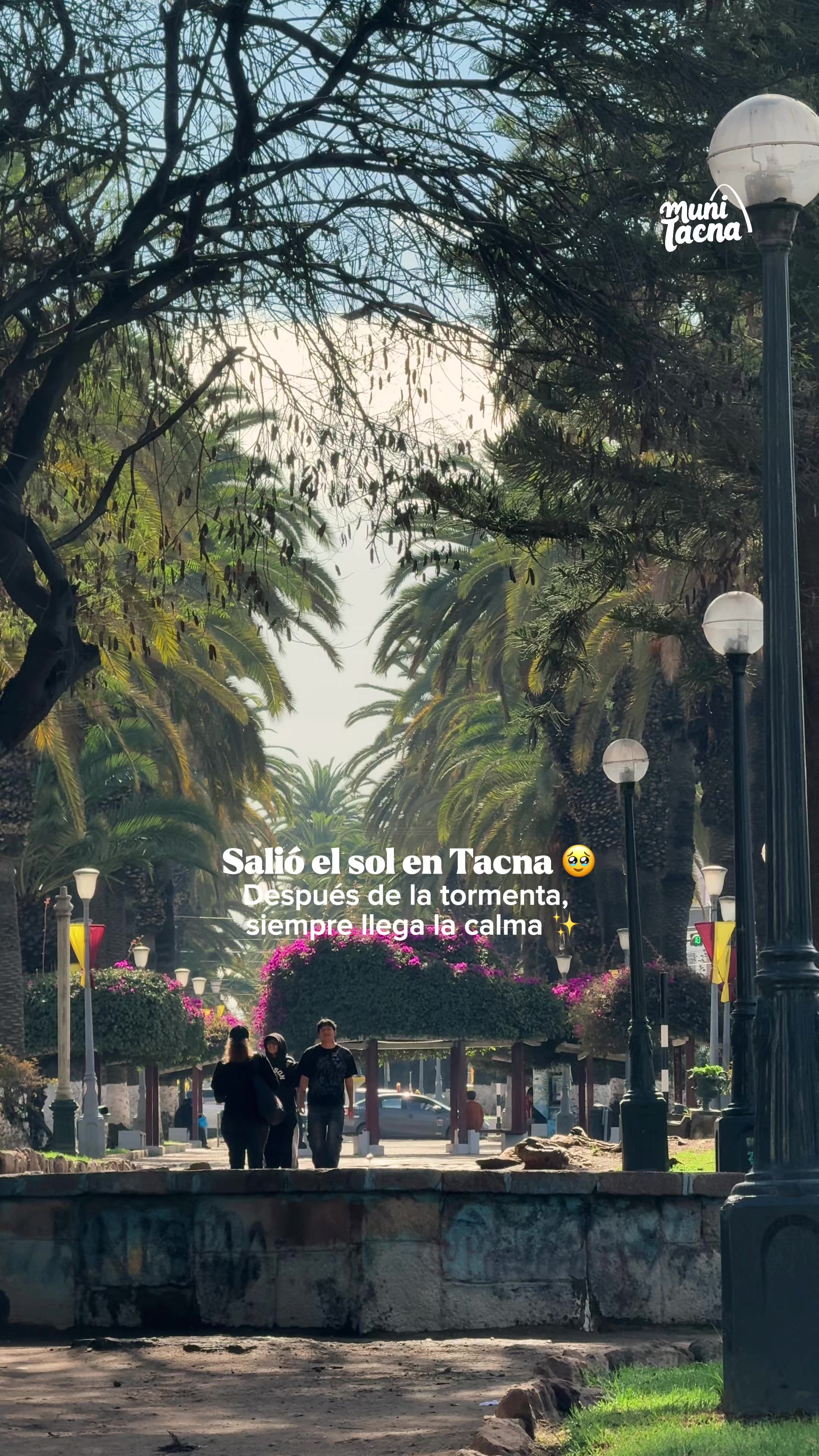 @Municipalidad de Tacna